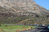 edc breakfast run - 1 aug 2015 (47)